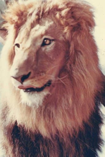 Zamba