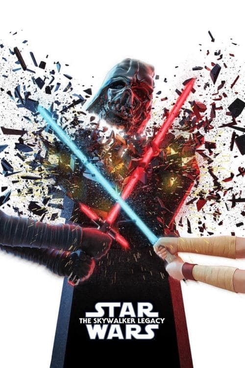Das Vermächtnis der Skywalker