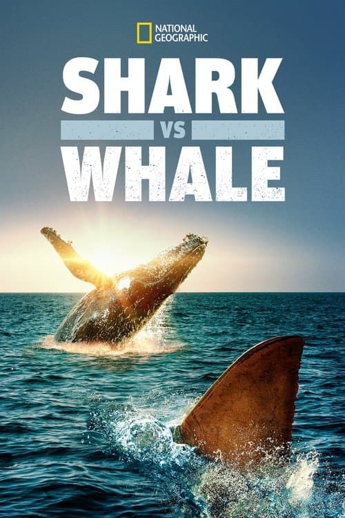 Hai vs. Wal