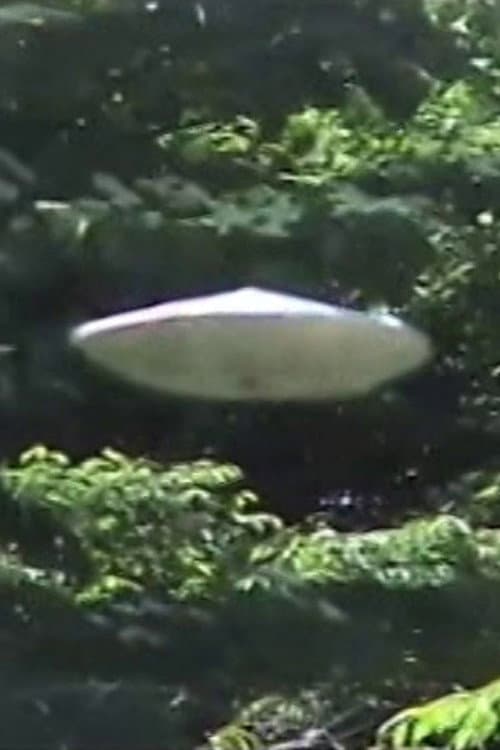 ブチョウとUFOごっこ