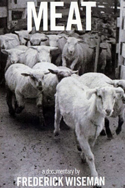 Fleisch