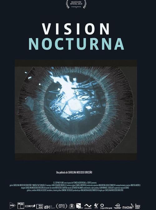 Vision nocturna