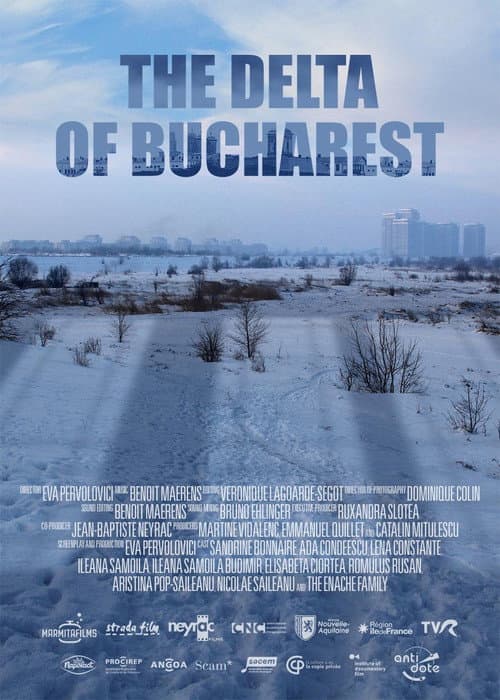 Delta Bucureștiului