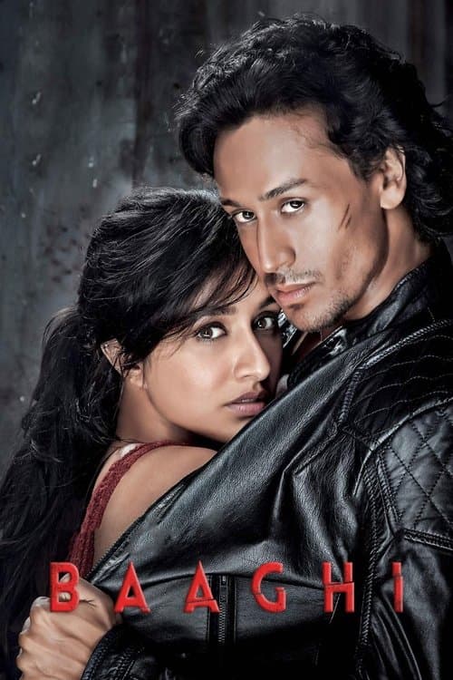 Baaghi - Der Rebell
