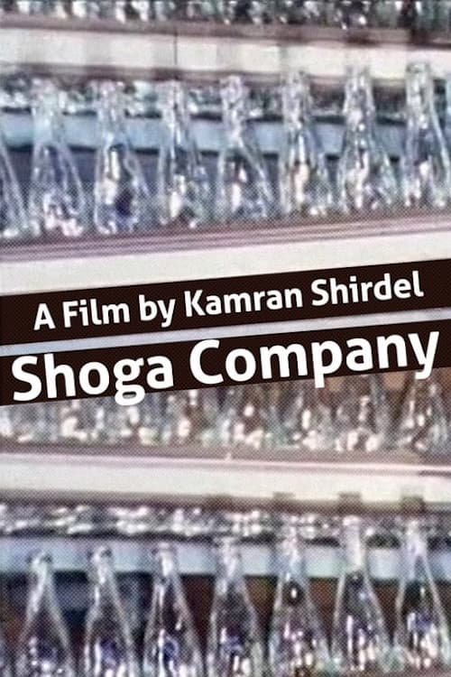 شرکت شیشه و گاز