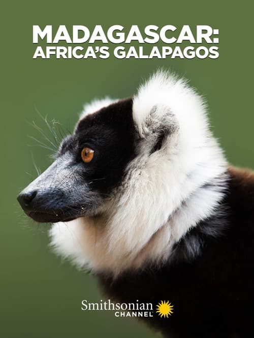 Die wunderliche Welt von Madagaskar