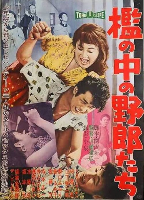 檻の中の野郎たち