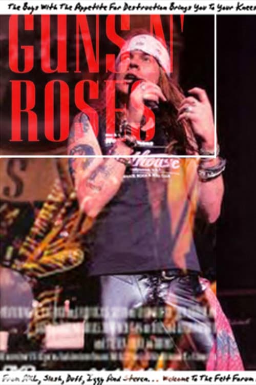 Guns Nâ Roses at the Felt Forum NY