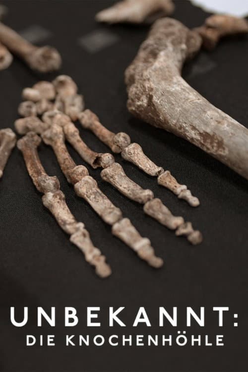 Unbekannt: Die Knochenhöhle