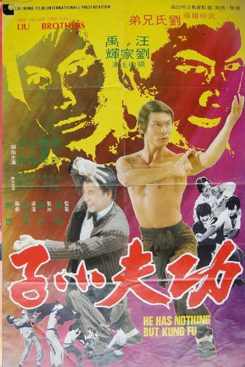 功夫小子
