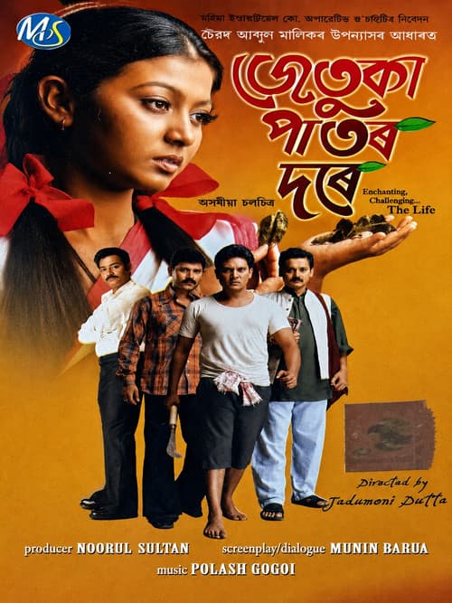 জেটুকা পাটৰ দৰে