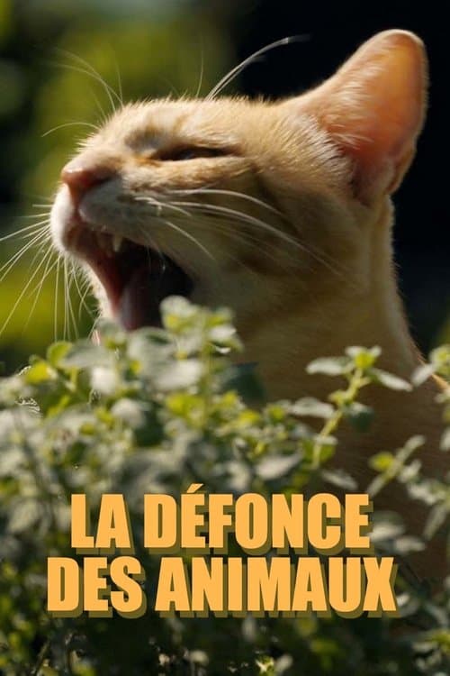 Tierisch high