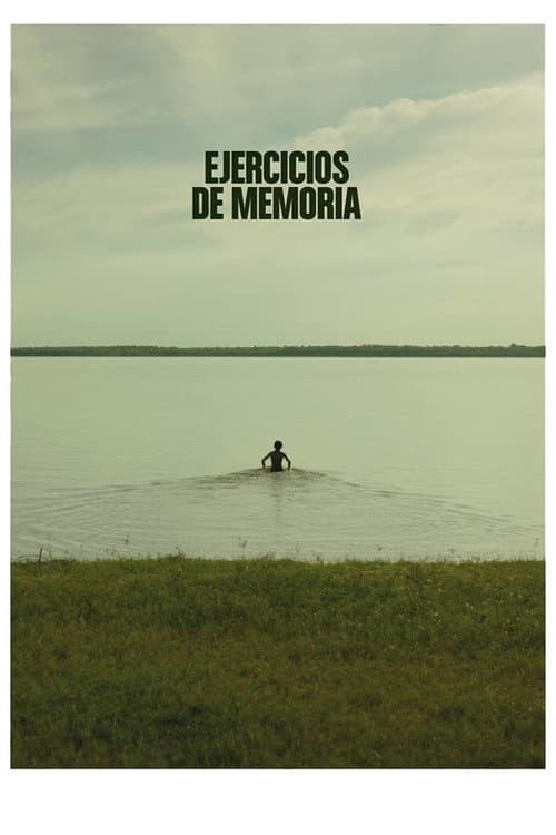 Ejercicios de Memoria