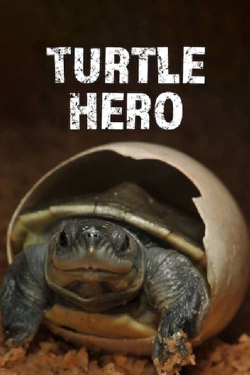 Turtle Hero - Ein Leben für die Schildkröten