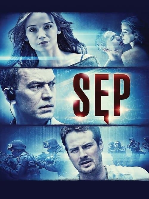 Sęp