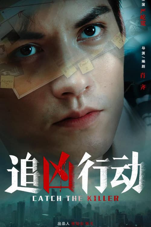 追凶行动