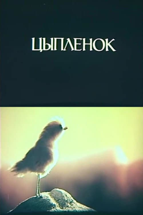 Цыплёнок