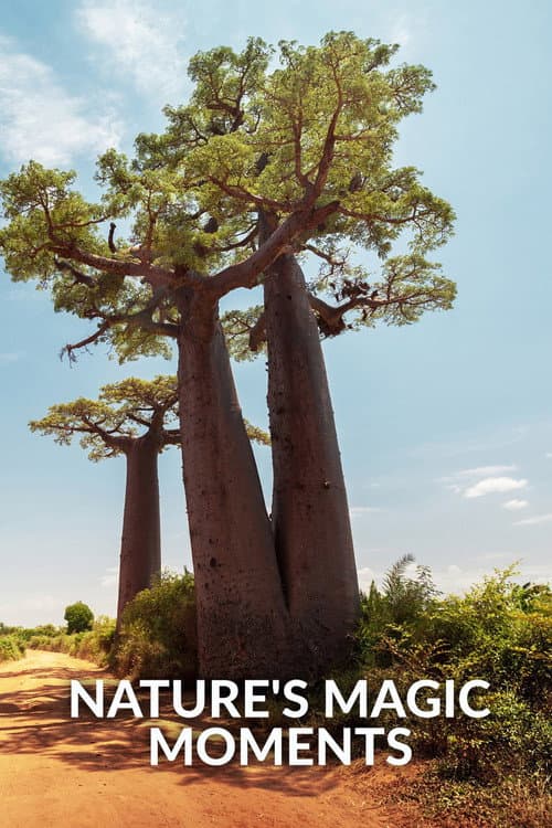Magische Momente der Natur