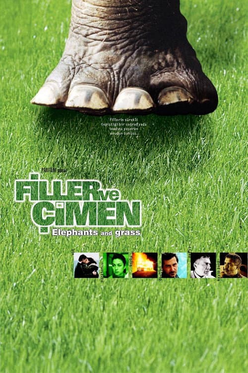Elefanten und Gras