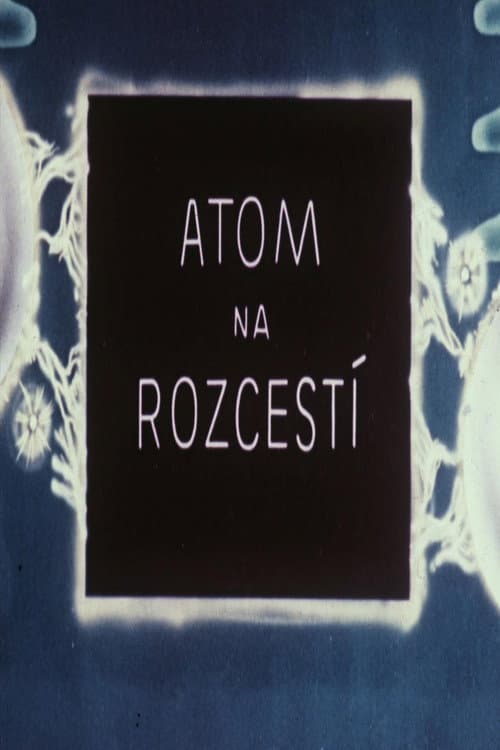 Atom na rozcestí