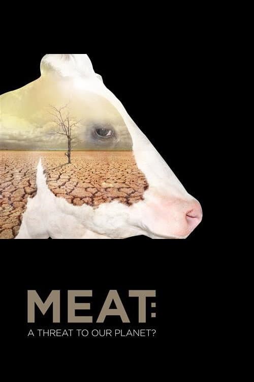 Fleisch - Gefahr für unseren Planeten?
