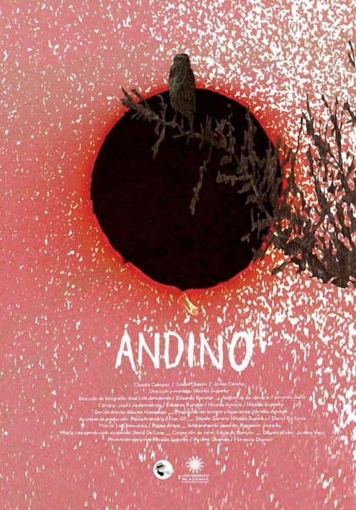 Andino