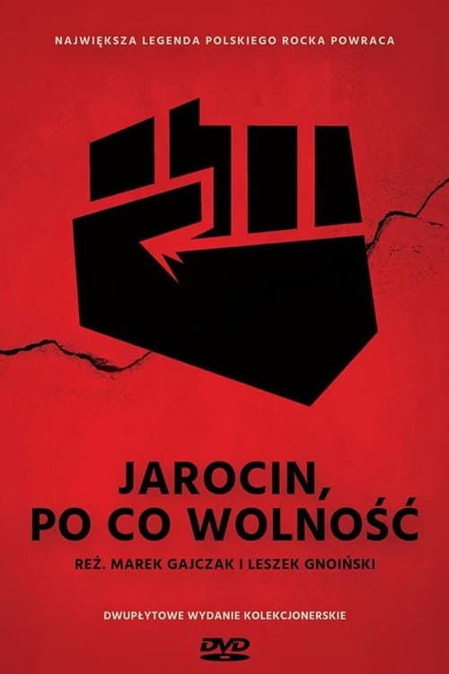 Das Musikfestival von Jarocin