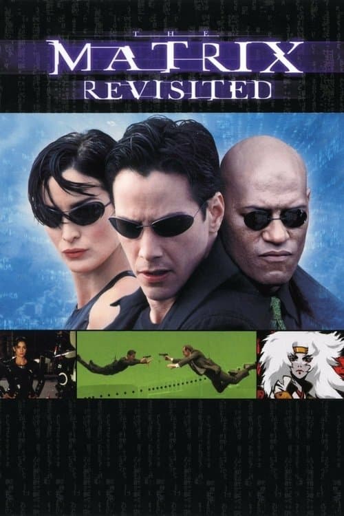 Matrix - Rückblicke, Einblicke, Ausblicke