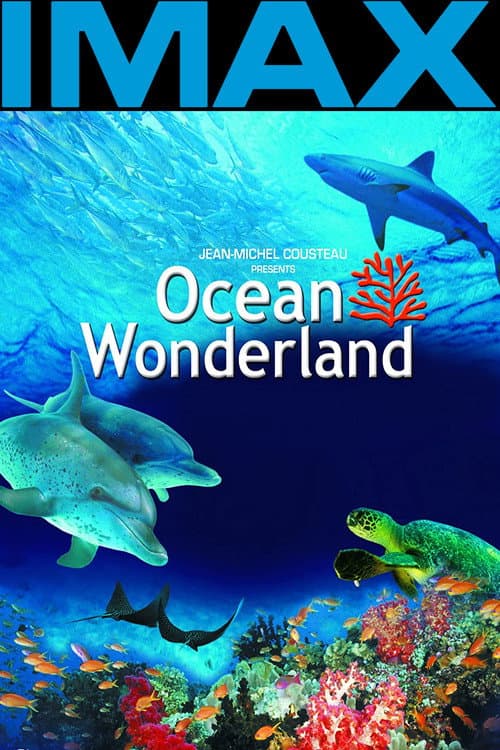 Wunderwelt Ozeane 3D
