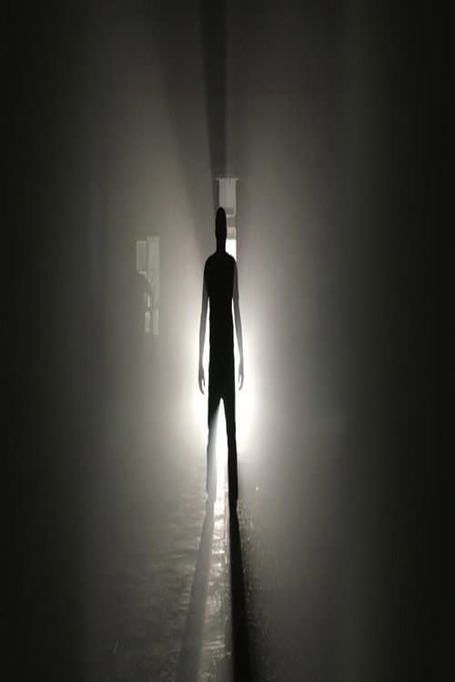 Gefangen im eigenen Körper - 44 Stunden zwischen Leben und Tod