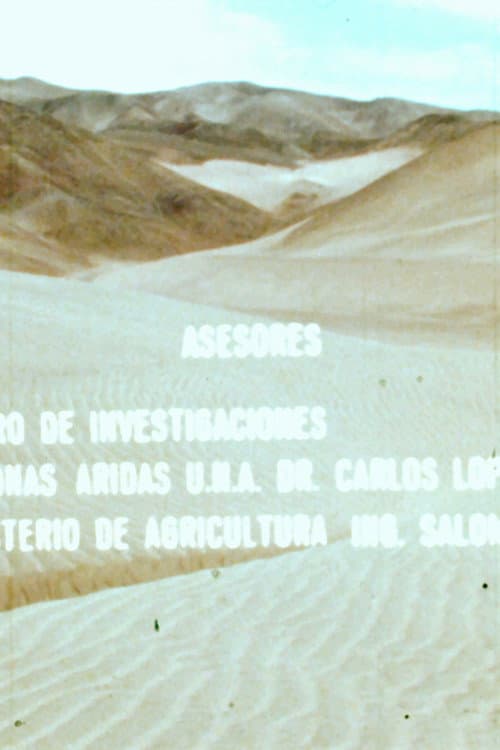 Las Arenas y el Hombre