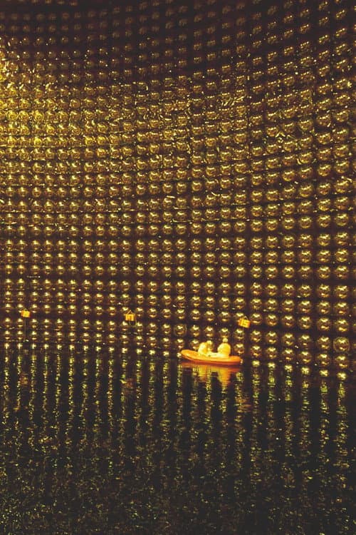 Neutrino de dichter onder de elementaire deeltjes