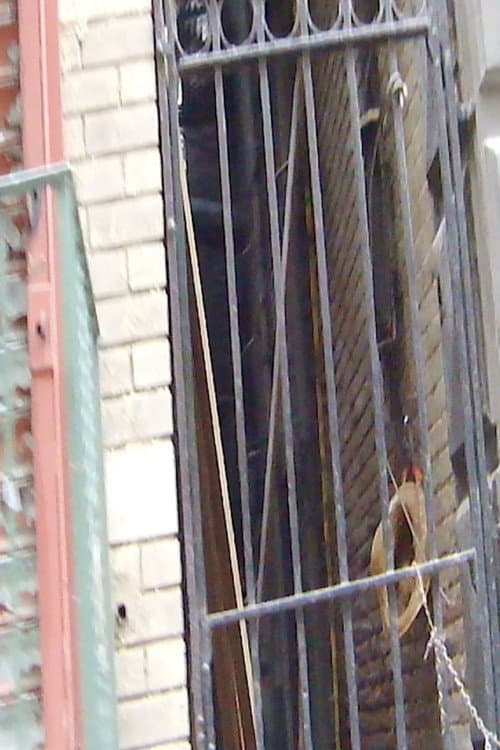 Mosco Street 2