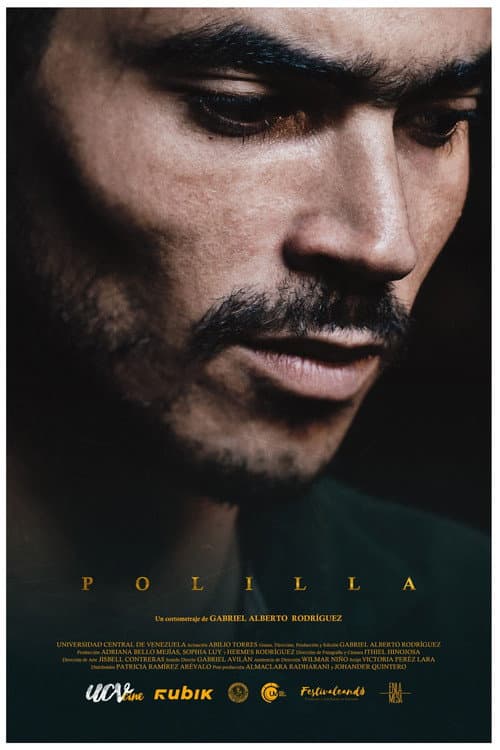 Polilla