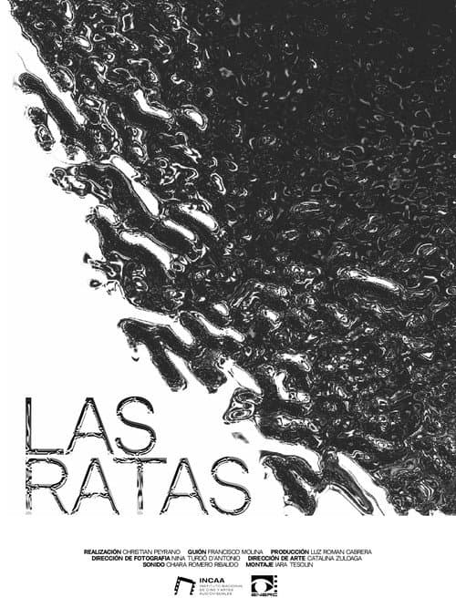 The Rats