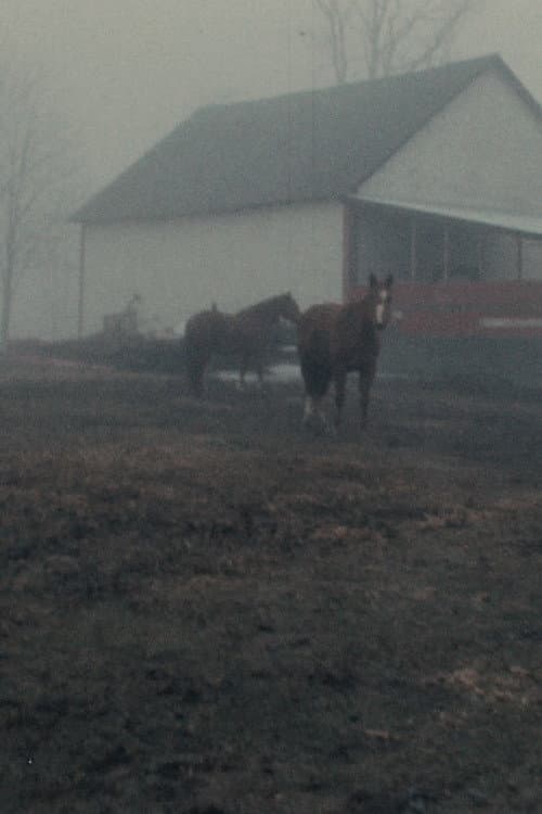 Horseflesh