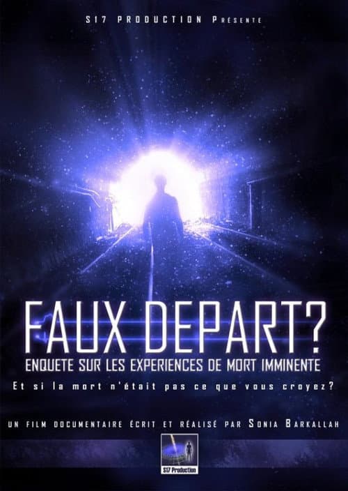 Faux DĂ©part ? EnquĂȘte sur les ExpĂ©riences de Mort Imminente