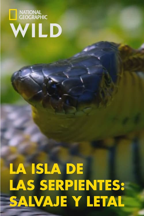 Australiens Schlangen-Insel
