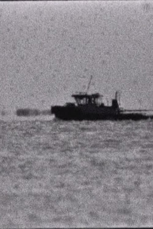 Sea Series #19