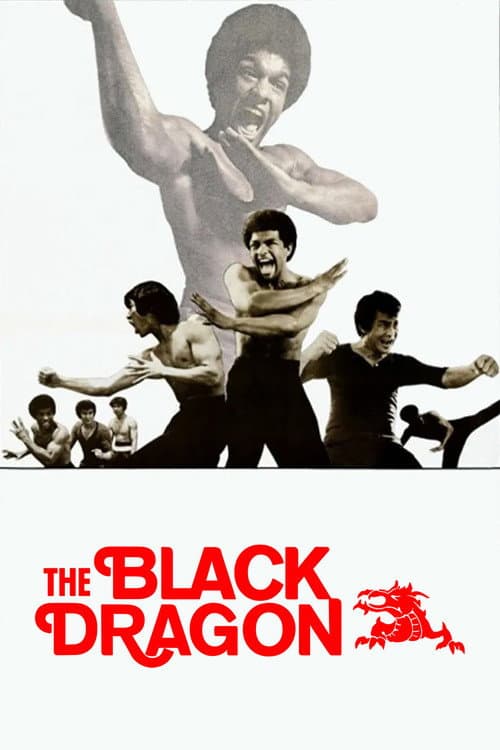 Bruce Lee - Sein tödliches Erbe