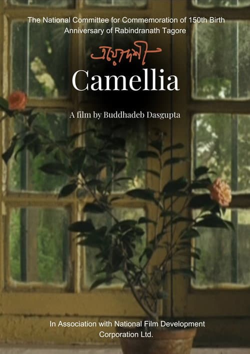 Camellia