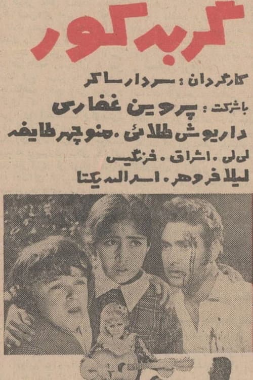 گربه کور