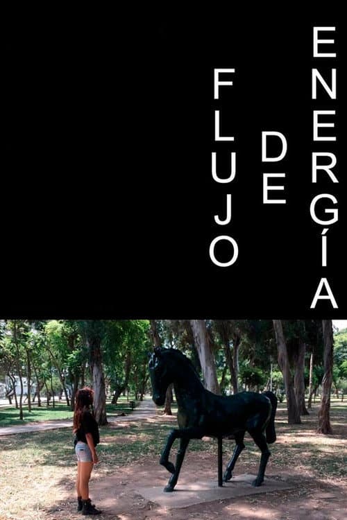 Flujo de Energía
