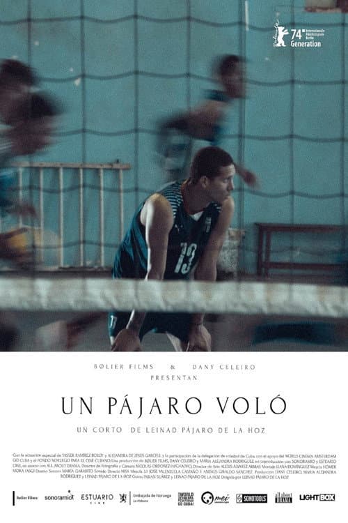 Un pájaro voló