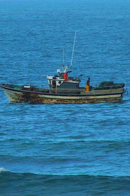 Anacos da Galiza