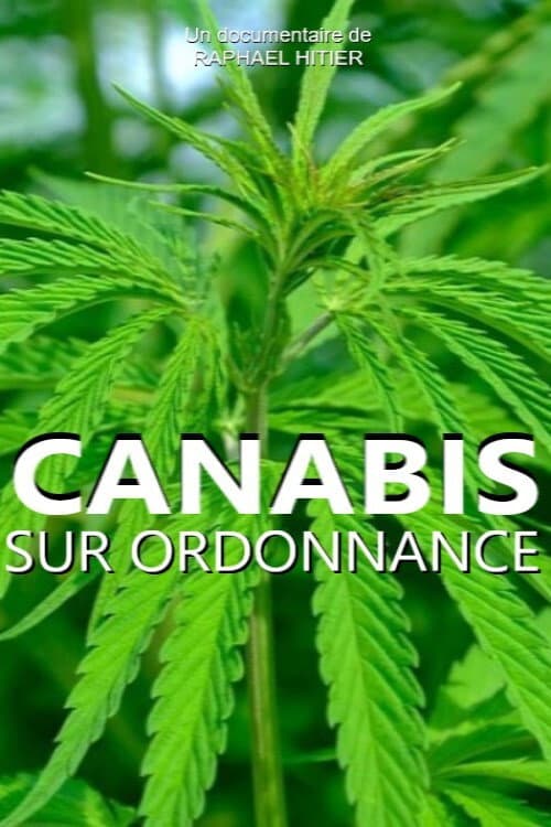 Cannabis auf Rezept