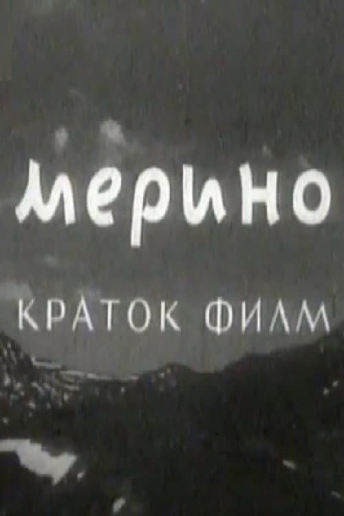 Мерино