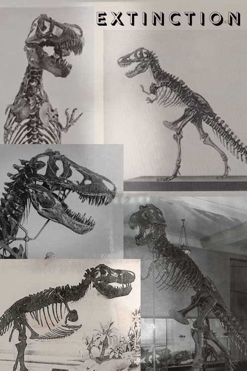 Extinction