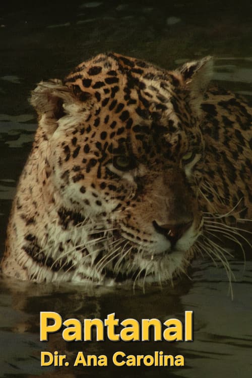 Pantanal
