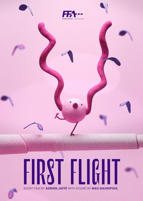 Flugversuche